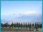 Upcountry Maui Land for Sale