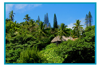 View of Hana House, Hana, Maui Hawaii