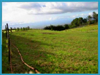 Upcountry Land for Sale