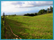 Upcountry Maui Land for Sale